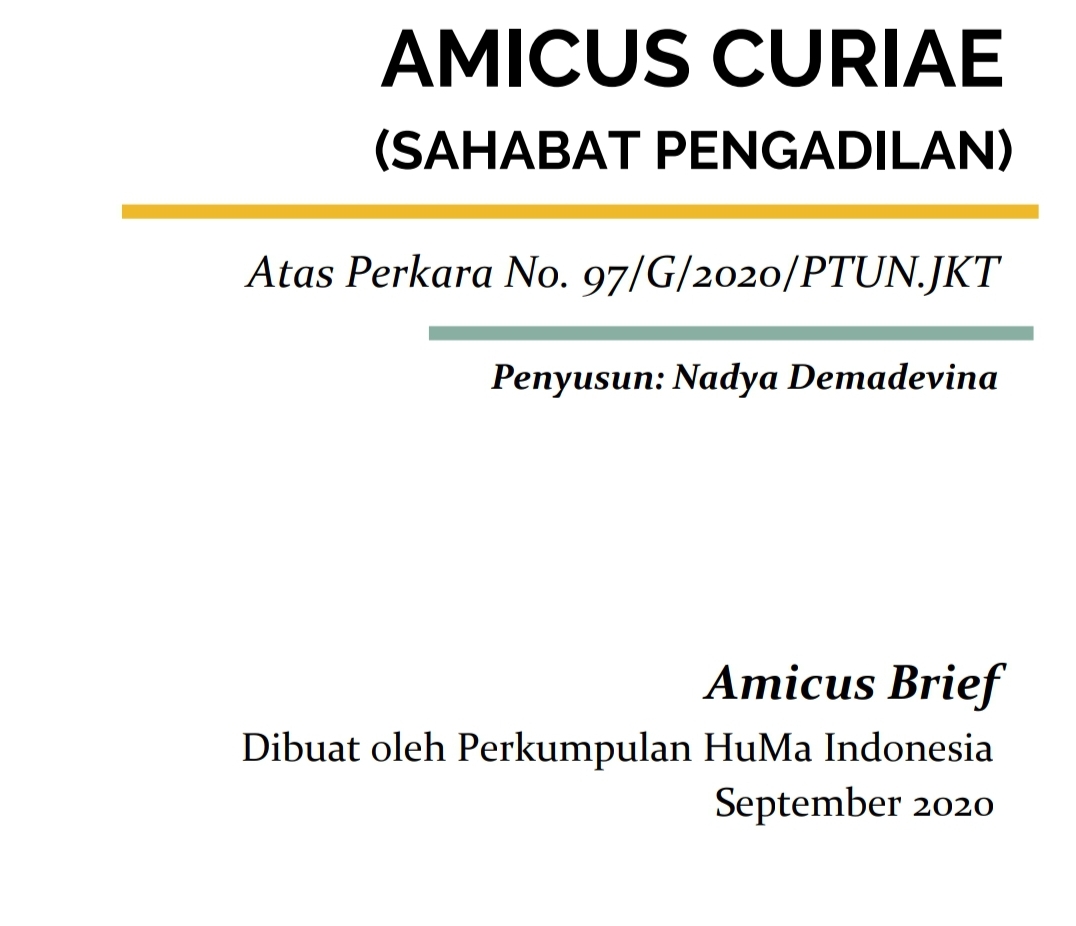 Amicus Brief Omnibus - HuMa